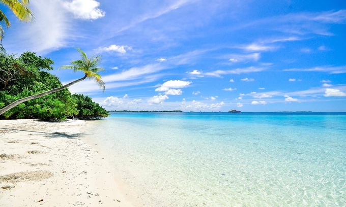 Sarasota Condominio | Delicia de vacaciones! Condo acogedor a pocos pasos de la playa y St. Círculos de comandos.