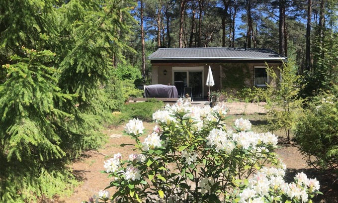 Gross Koeris Casa | Vacation home forest and lake idyll near bathing lakes, Spreewald and Berlin