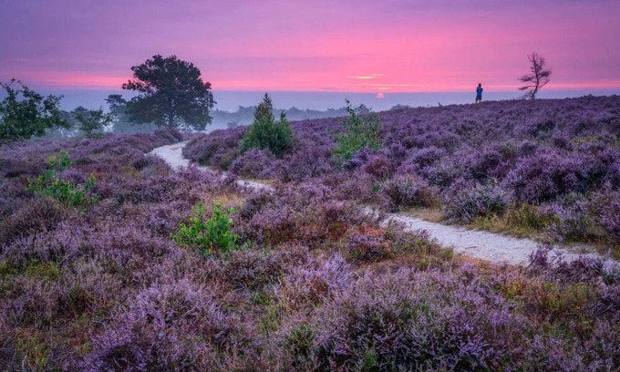 Municipality of Hellendoorn Casa | Vacation home Sallandse Heuvelrug, Hellendoorn, Zwolle in nature with Luxe Hottub