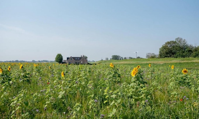 Holwerd Casa | Vakantiewoning Oer it fjild