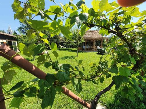 Sarosu pe Tarnave Casa | Valchid Guest House