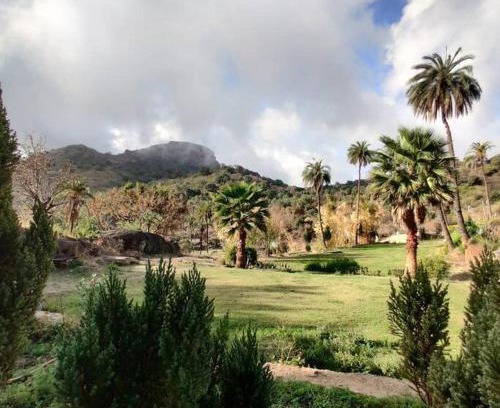 Mount Abu Casa | Valley Nest for 6-12 PAX