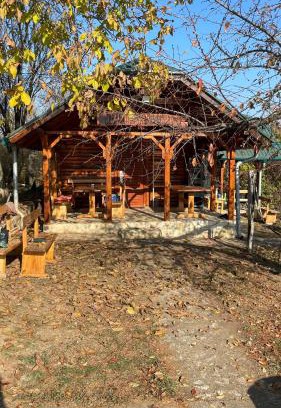 Jagodina Cabina | Vasića grozd