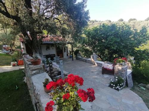 Skiathos Casa | Vasilis' kalivi