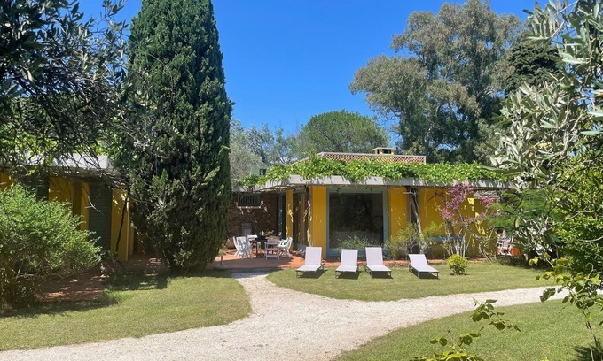 Porquerolles Casa | Vaste Maison D'architecte Avec Jardin Arboré