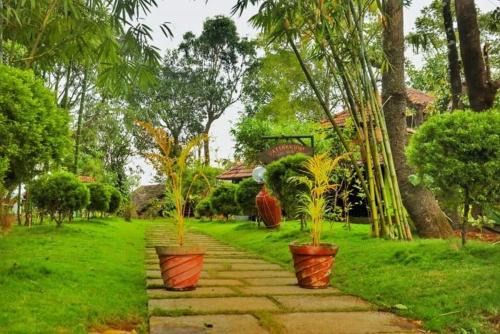 Thirunelly Cama Y Desayuno | Vattakkuny Wild Orchid Resorts
