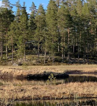 Kongsvinger Casa | Velkommen til Finnskogen og minihytta Rimbila