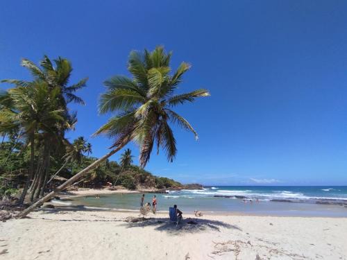 Pontal Apartamento | Vento e Sal - Praia da Concha