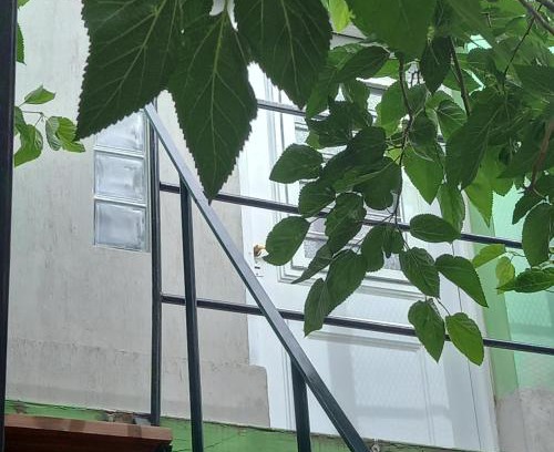 Guaymallen Apartamento | Verdes montañas