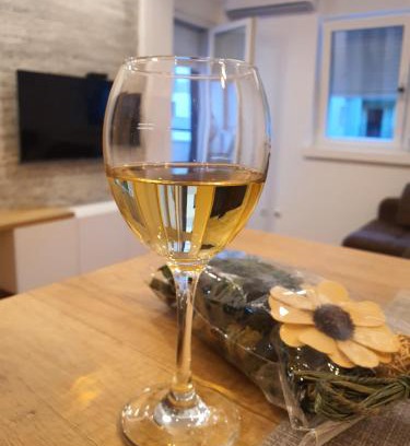 Vrnjacka Banja Apartamento | Verona 25