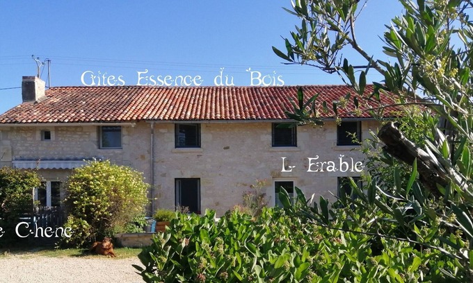 Vendeuvre-du-Poitou Cabaña | Muy bonita casa rural para 10 personas a 8 minutos de Futuroscope