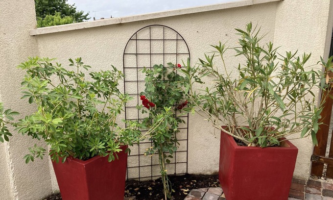 Selles-sur-Cher Casa | MUY BONITA ALQUILER 2 * VENDE SUR CHER