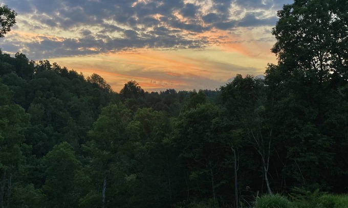 Marshall Cabina | Very Private 4 Bedroom 3 Bath Cabin on 24 acres
