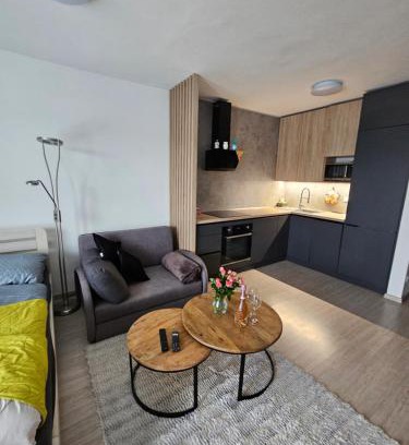 Trencin Apartamento | Victory apartment