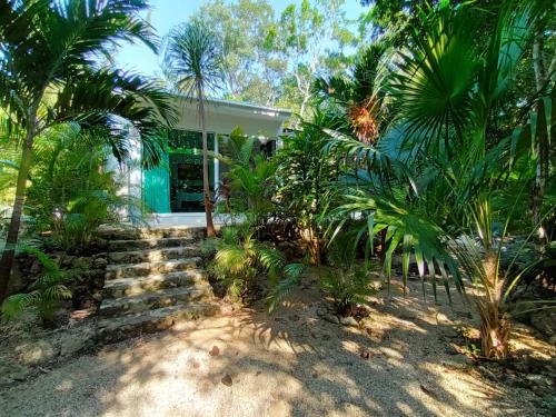 Tulum City Center Casa | Viila Ixchel jungle pool