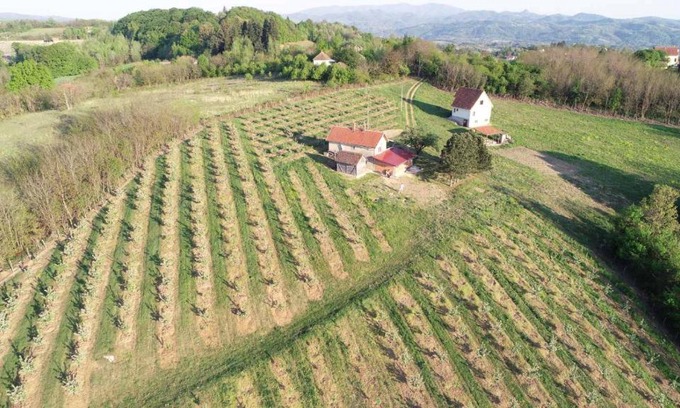 Mladenovac Casa | Vikend house