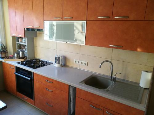 Panevezys Apartamento | Viktorijos Apartamentai - Erdvus 2 kambarių butas