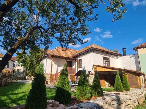 Stara Planina Casa | Vila Antić
