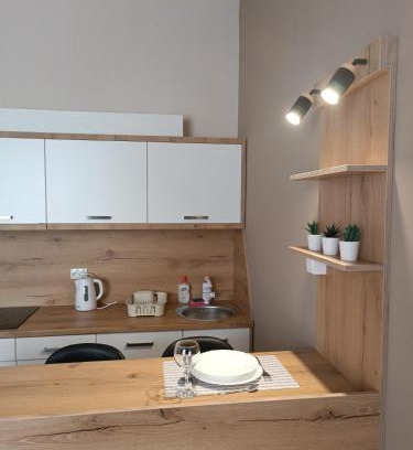 Becej Apartamento | Vila Bor