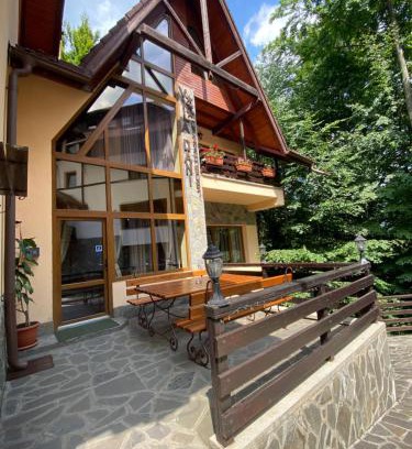 Sinaia Apartamento | Vila Dani