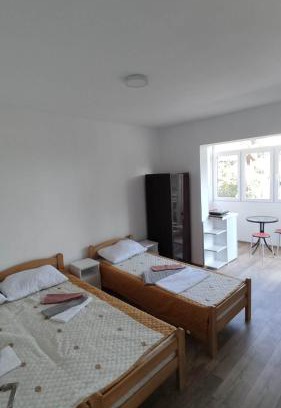 Gornja Trepca Apartamento | Vila Dusica
