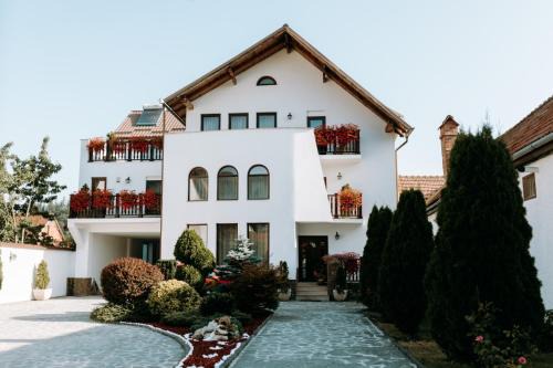 Zarnesti Villa | Vila Elizabeth