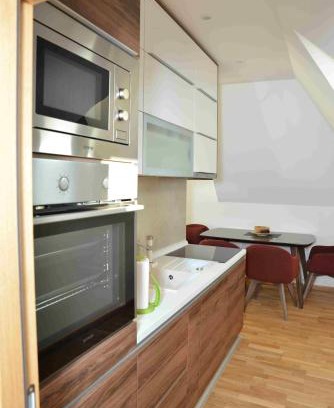 Kopaonik Apartamento | Vila Irina Kopaonik
