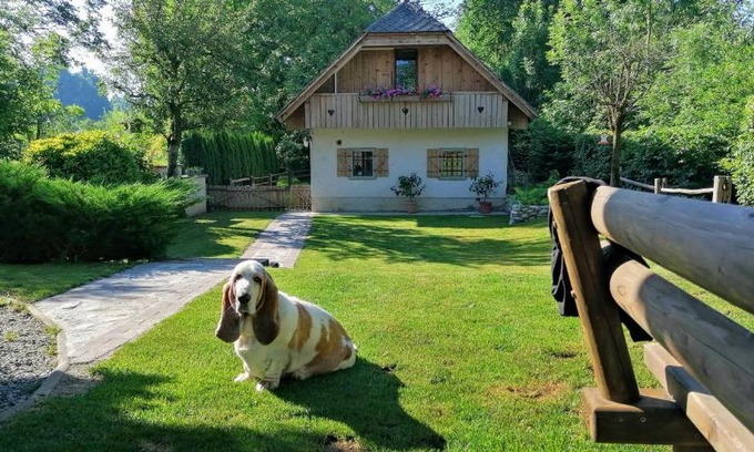 Radovljica Apartamento | Vila Jana