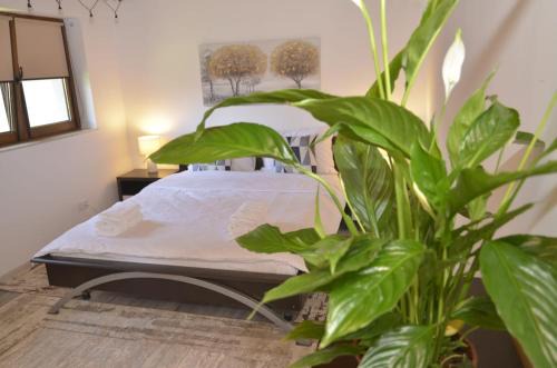 Brasov Villa | Vila LINA