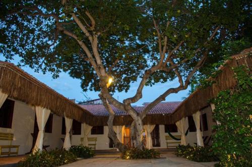 Jijoca de Jericoacoara Apartamento | Vila Lua Aparts - Apartamento 1