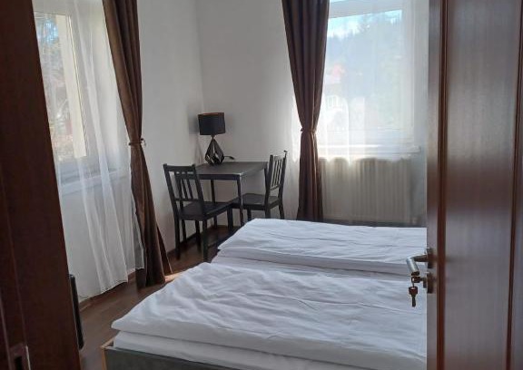 Predeal Cabina | Vila Oltețul