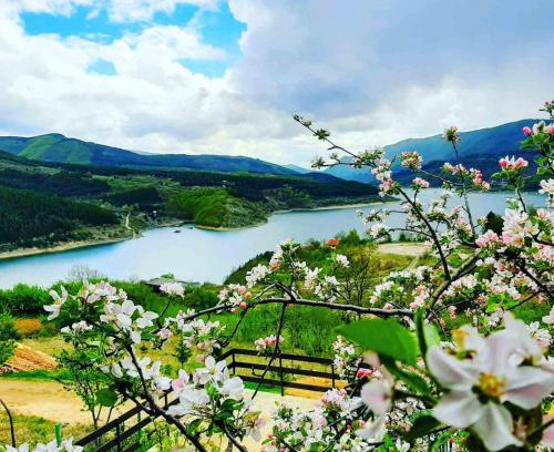 Stara Planina Apartamento | Vila Panorama