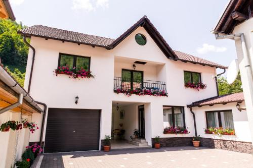 Sugag Casa | Vila Rodica Transalpina