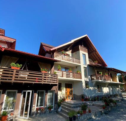 Borsa Casa | Vila Sorina