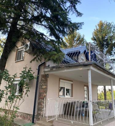 Petrovaradin Casa | Vila Vera Novosadska 15
