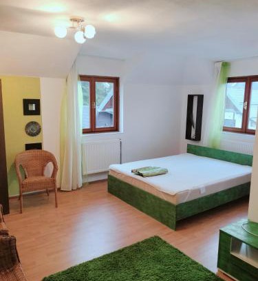 Busteni Casa | Vila Vlad