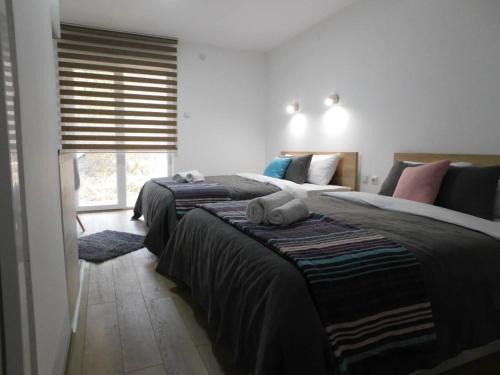 Stara Planina Apartamento | Vila Vrh