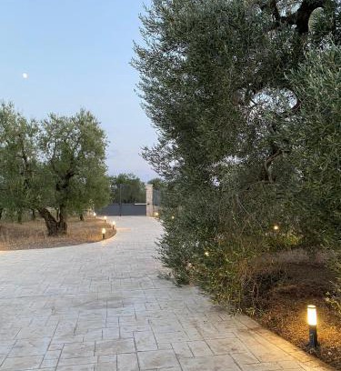 Andria Casa | Villa Anna