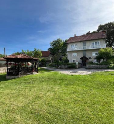 Bor Casa | villa Antonijevic