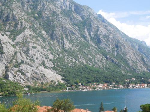 Orahovac Casa | Villa Aronija