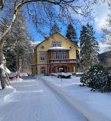 Janske Lazne Casa | Villa Belvedere