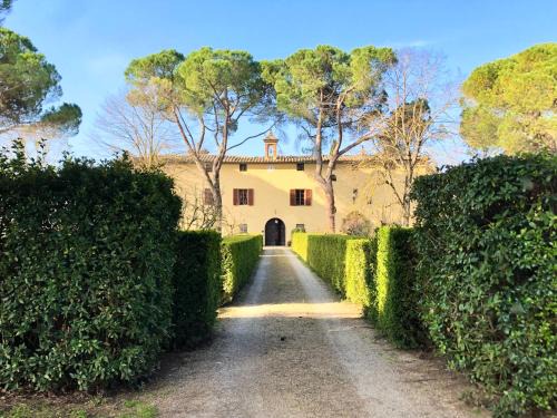 Ville di Corsano Apartamento | Villa Buonsignori - Wine & Olive Oil Farm