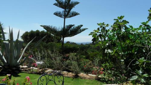 Cavaliere Apartamento | Villa Carpe Diem
