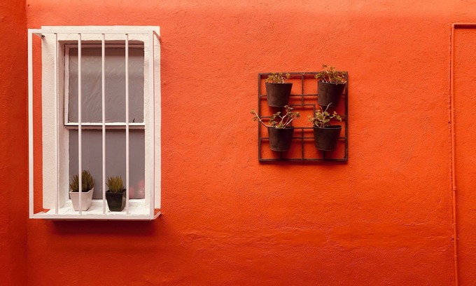 Coyoacan Casa | Villa Colonial Centro de Coyoacan casa para 12 personas ambiente Familiar