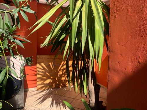 Santa Catarina Cama Y Desayuno | Villa Coyoacan