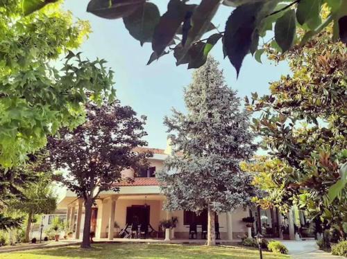 Roseto degli Abruzzi Casa | Villa Cycas