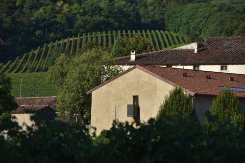 Mezzane di Sotto Casa | Villa del Brolo - Famiglia Furia