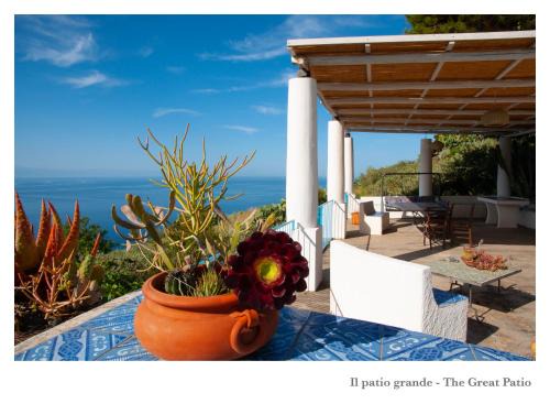 Leni Casa | Villa Donatella