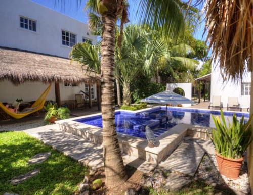 Colonia Centro Cama Y Desayuno | Villa Escondida Guest House Cozumel Downtown