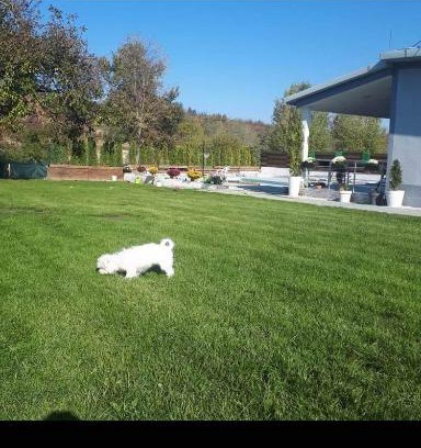 North Macedonia Apartamento | Villa Fantastic